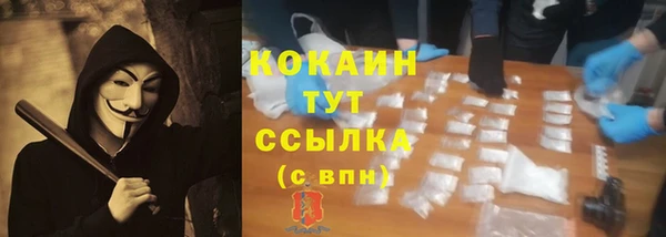 крисы Медногорск