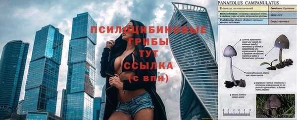 а пвп мука Майский